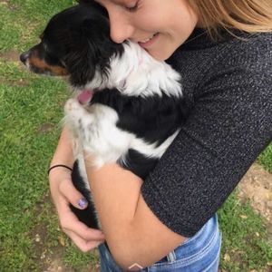 Meet your Posher, Sierra